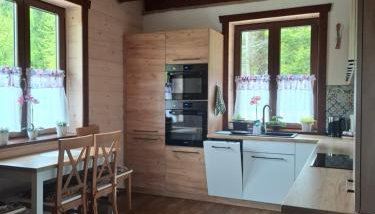 DoMarka całoroczny dom w Bieszczadach - Foto 3