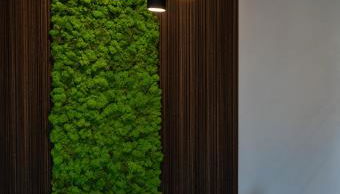 LuxeDesign Apartment - Photo 3