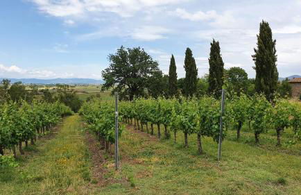 Vacanze Sant Andrea - Foto 66