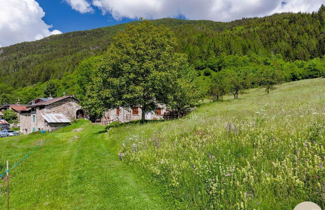 El Bait in Incudine With 2 Bedrooms and 1 Bathrooms - Foto 19