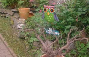 Bubi Niedlich - Foto 50