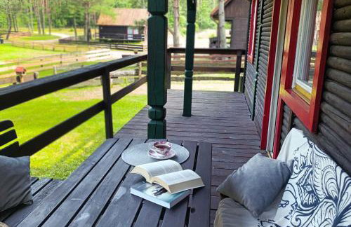 Domek u Rybaka na Mazurach z basenem - Foto 19