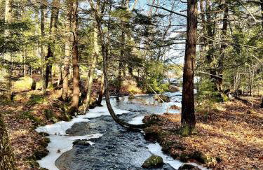 NEW cozy getaway near Mt Monadnock with hot tub - Foto 39