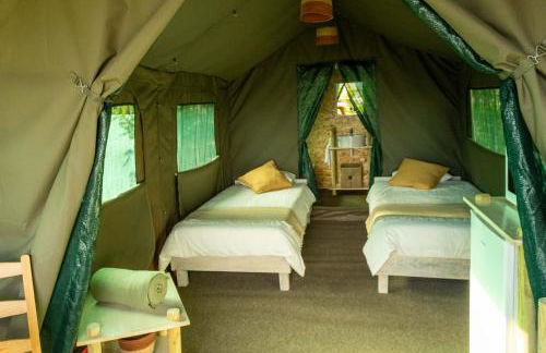 Safari Glamping Portugal Koi Fish - Foto 59