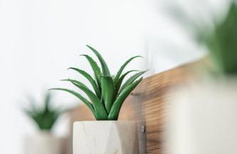 La Terra Nostra city - Foto 46