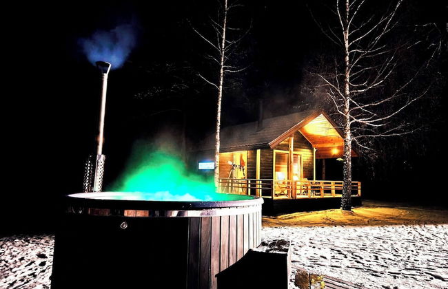 Metai Miške&a Year in the Forest - Photo 27