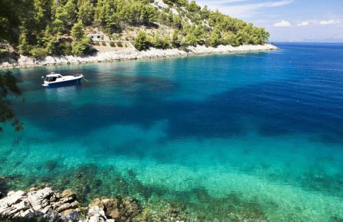 Robinson Tabinja - Foto 5