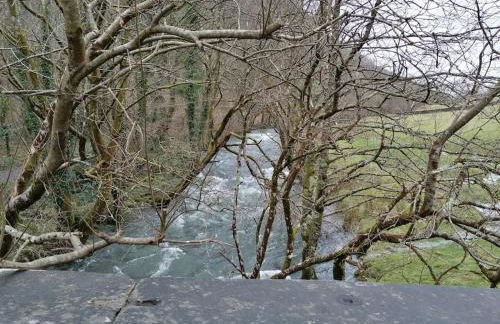 1 Park Terrace - Photo 24