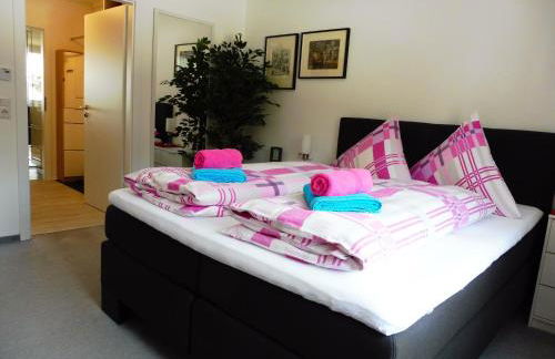 Komfortable Wohnungen und Studio in Sankt Englmar - Foto 57