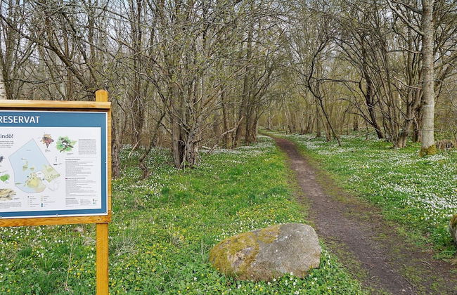 10 Person Holiday Home in Rockneby - Foto 23