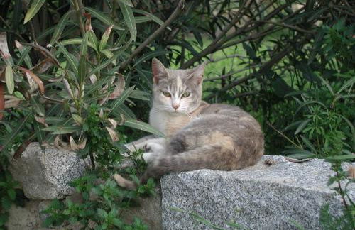 La Casa Rural Cortijo del Zoco Bajo - Foto 72