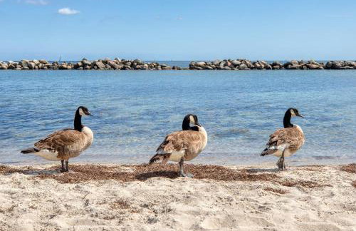 Ferienwohnung Seeblick - Foto 33