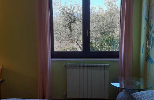 VILLETTA TRA GLI ULIVI - Foto 27