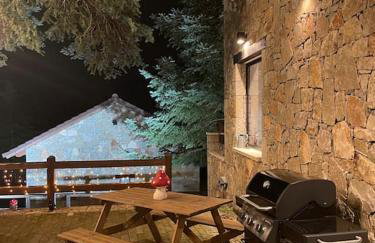 The forest chalet in Parnassus - Foto 42