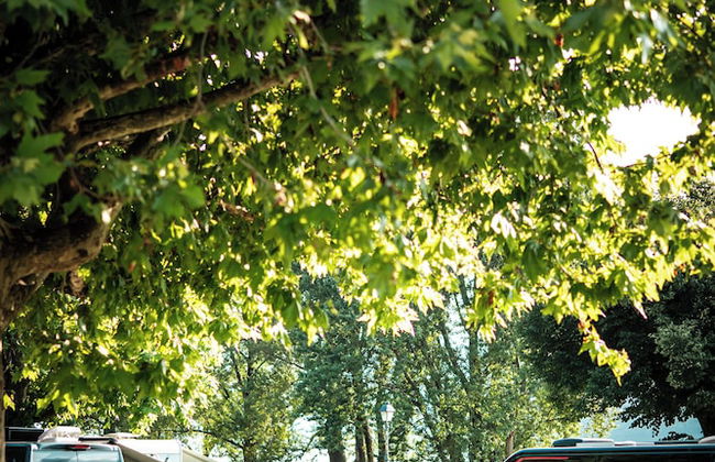 THE CAMP by Maggiore Suites - Foto 13