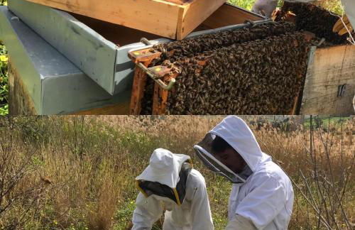 Fattoria Manostalla Villa Chiarelli - Foto 83