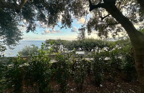 Giardino in villa Margherita - Foto 58