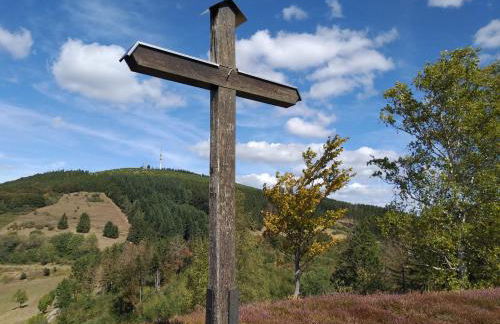 Ferienwohnungen Luge - Winterberg - Foto 52