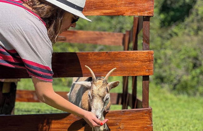 Finca San Cayetano - Photo 63