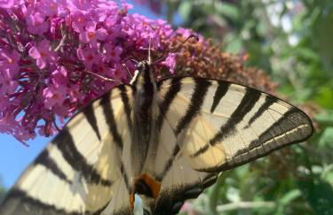 Haus Matti - Foto 22