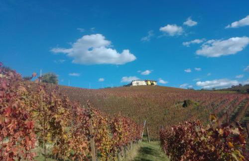 Casa Vacanza ElyD House - Foto 12