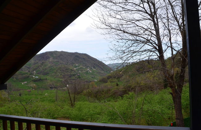 Bigoşa Bungalov - Foto 36