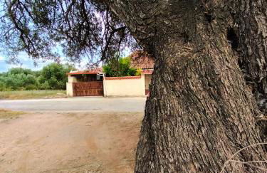 Olive apartment - Foto 30