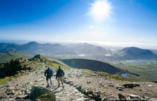 Little Kestrel Cabin - Photo 37