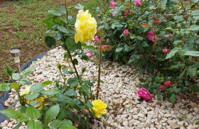 Apartments Jeličić - Foto 68