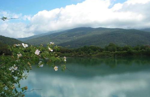 HomeHolidaysRentals Confort - Foto 22