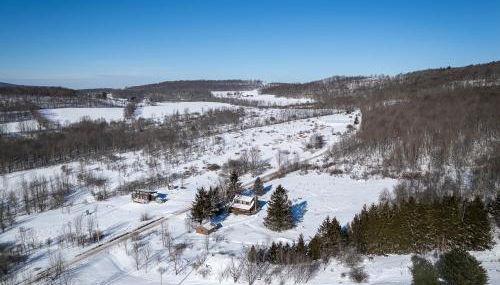 Stella Firma - Foto 4