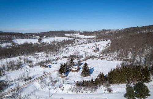 Stella Firma - Foto 4