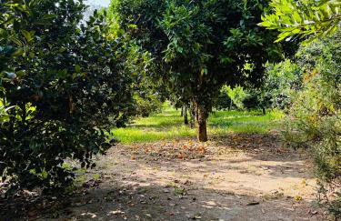 Quinta da Lapa do Gato - Foto 43