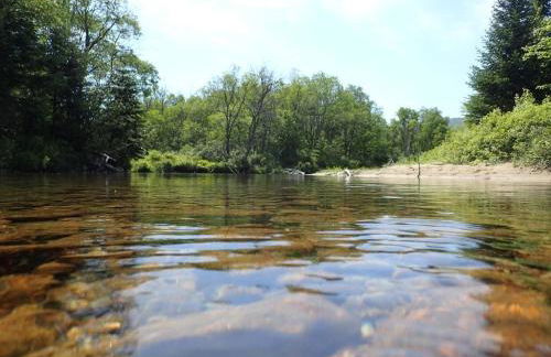 1800ML - As Seen on TV 1 mile from skiing great views hot tub fire pit beach Pool gym passes - Foto 52