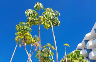 A&V Studio in Green Park - Foto 30