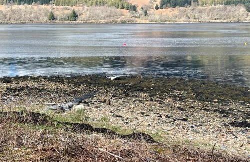 Thistle House Guest House - Foto 66