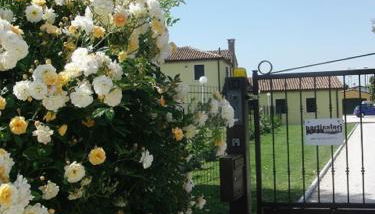 Particolari del Brenta - Foto 5