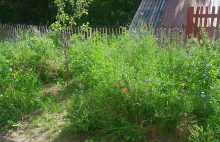 Ferienwohnung Ullrich im Spessart - Foto 36