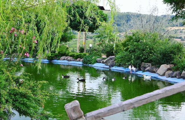 Obasya Kirsal Konaklama Tesisi - Special Class - Foto 12