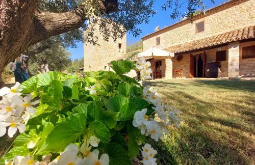 Pietra Antica Agriturismo - Foto 59