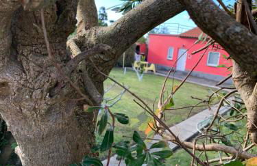 Quinta do Norte - Biscoitos - Photo 23