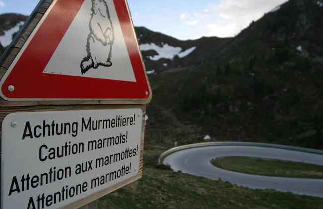 Scenic Holiday Home in Deutsch Griffen near Hochrindl - Photo 32