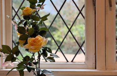 London Dream Nest - Foto 2