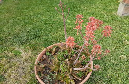 Agriturismo S. Agostino - Foto 18