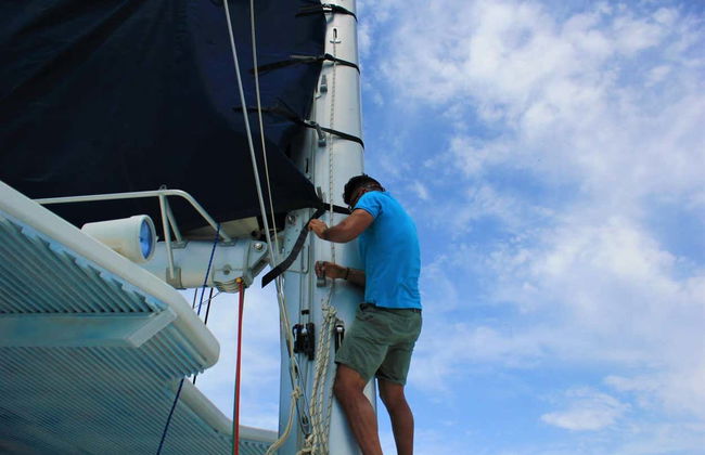 Paseo en catamarán por la bahía de Palma - Foto 7