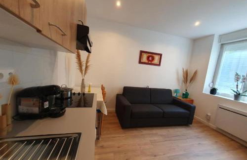 Appart'hôtel, IKIMO 5 appartements entiers à votre disposition au choix - Foto 40