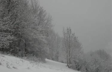 Agritur Maso Gosserhof - Foto 31