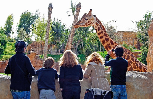 Parker The Urban Flats - Foto 50