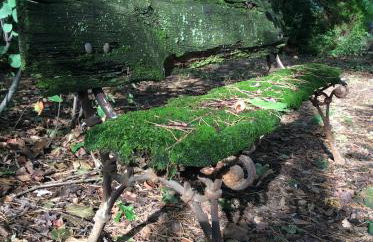 Pokój w domu z ogrodem w Milanówku - Foto 32