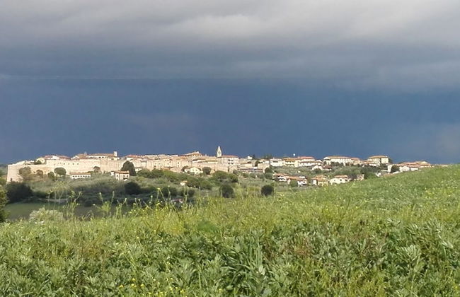 Agriturismo Quarto Podere - Photo 30